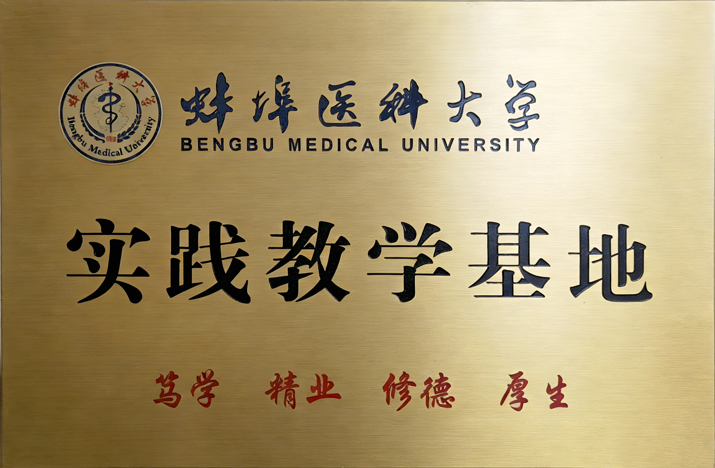 蚌埠医科大学实践教学基地 2025年12月19日